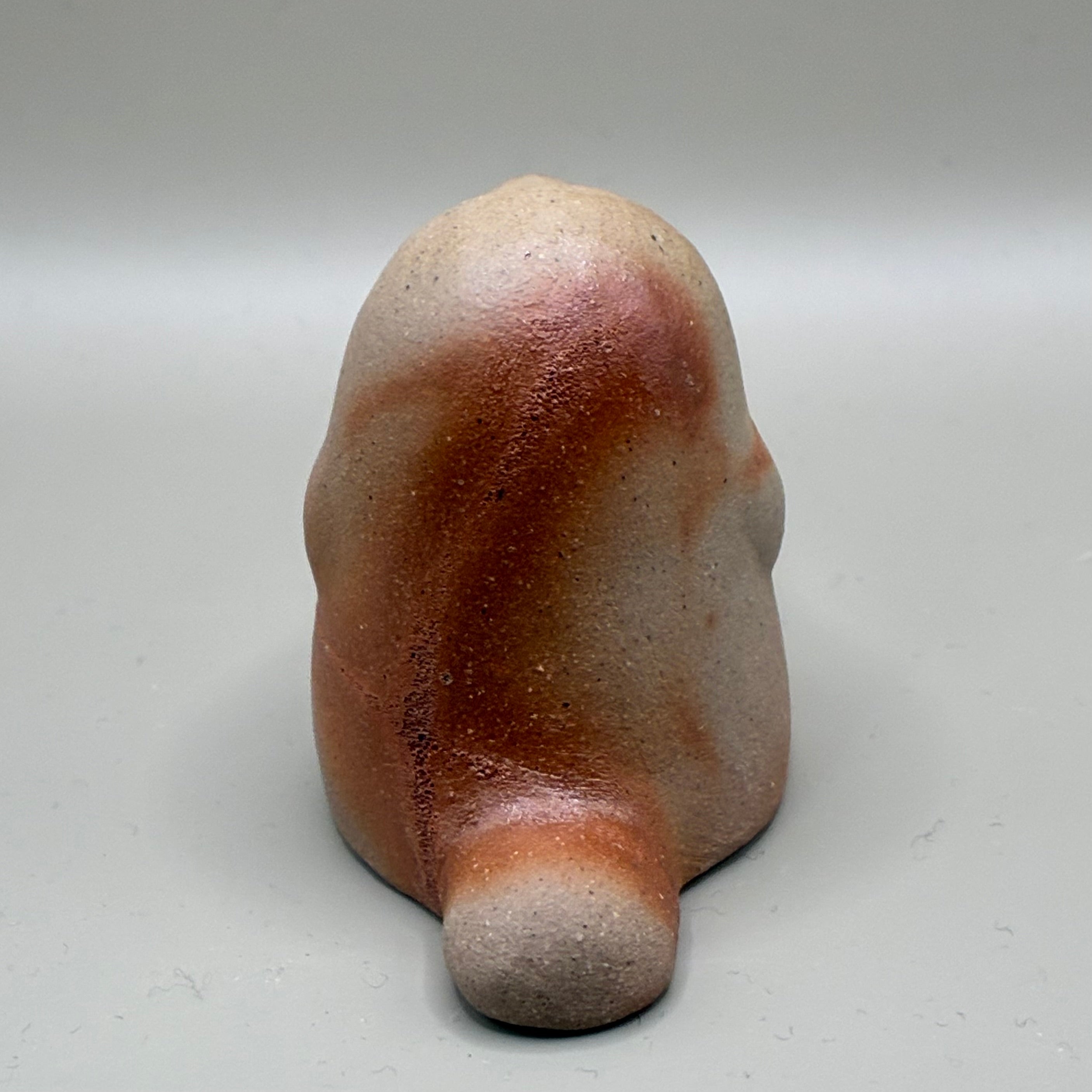 zikisai – zikisai.com