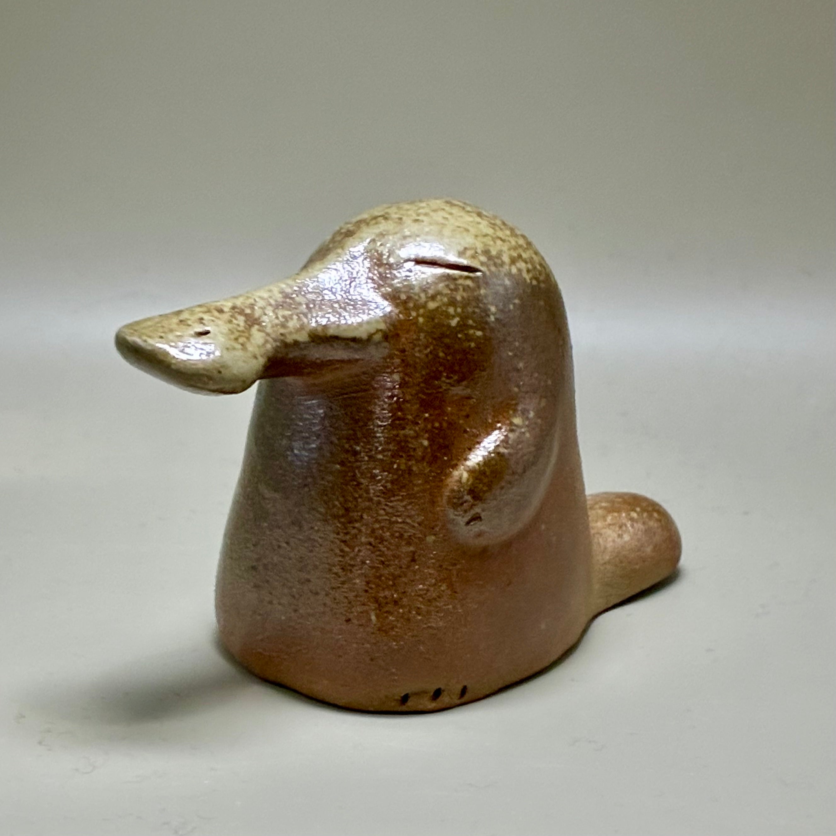 zikisai – zikisai.com